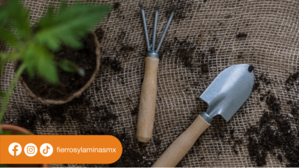 Tips básicos para jardineros principiantes